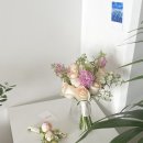 유토피스트 이미지