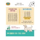 아이그루유치원 | 오산 온독 애견카페 넓은 실내 야외 운동장 오산 애견유치원 애견호텔 후기