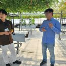 곤의농장 이미지