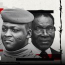 Master grooming club 이미지