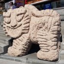 김정현행정사 이미지