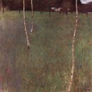 Birch grove / 자작나무 숲으로 이미지