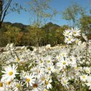 출렁다리 민박 이미지