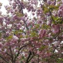 완산공원(아래) 이미지