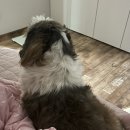 웅이테크 이미지
