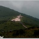 노고단-8 이미지