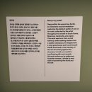 세화미술관 [투명한 손, 움직이는 색] 솜사탕 체험 후기 도슨트 정보