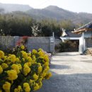 영신마을 이미지