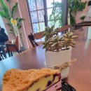 아그로타타마