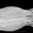 태전동물병원 이미지