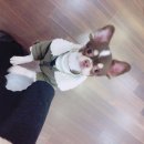 봉주르봉구 이미지