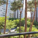 과천-과천-과천3호 이미지