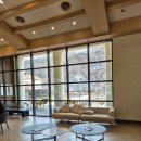 사지막길 | HOT 영월 가족여행#3 <탑스텐리조트 동강시스타>내돈내산 후기(스위트B룸,바베큐,수영장)