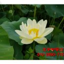 보도중로2-4 이미지