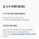 가버치 이미지