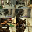 들개농장 이미지