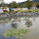 설뫼충효테마파크 캠핑장 이미지