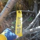 화진포 생태박물관 이미지