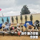 제주네 애견유치원 | 제주 애견유치원 애견호텔, 우리 강아지 맞춤 케어 호야별