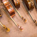 첼로와 거문고 이미지