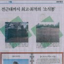 봉수대 이미지