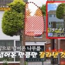 주식회사 꿈꾸는사람들 이미지
