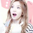 배추언니