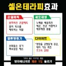 UP점핑 다이어트 클럽