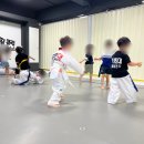 경희대최강태권도 이미지