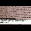 보리스 짐 이미지