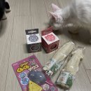 냥앤도그 네이버블로그