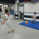 국가대표 신화 태권도장 이미지