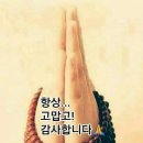 대안1리 경로당 이미지