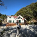 피오르 숲 빌리지 이미지