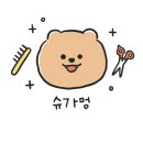 슈가멍 | 권선구 권선동 애견샵 슈가멍 위치.가격.시간.후기