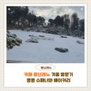 몽몽 | 가평 대형 카페 몽브레뉴 겨울 방문기｜몽몽 슈페너와 베이커리 솔직 후기