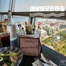 [여의도] 세상의모든아침 - 시니 생일 이브, 창가석 예약 후기, 50층 한강뷰 맛집, 여의도 브런치, 주차...