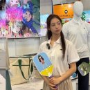 미디어볼