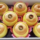 섬마을농원 이미지