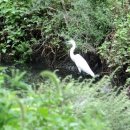 시화호수로3 이미지