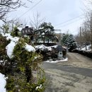 분당정(국궁장) 이미지