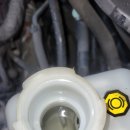 모든카프라자 이미지