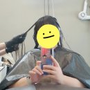 수영미용실 - 영주시 구성로150번길 21 | [일상] 2026년 6월~7월초 일상모음/근황/잡담/로이드밤 수영점(미용실 후기)