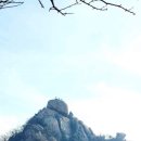 상해행정사 이미지
