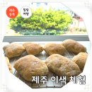★광진 역사 문화 유산★ <재능기부강의> | 제주도 이색 체험 제주 원데이 클래스 빵 만들기 투투 베이킹