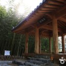 대나무생태원 화장실 이미지