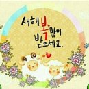 J바디앤스킨