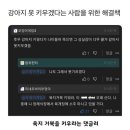 도깨비피시방 | 내가 좋아하는 것들