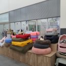 동그리펫 이미지