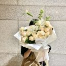 뽀띠플라워 | 부천시청꽃집, 부천중동꽃집, 부천시청역꽃집, 부천꽃다발, 부천꽃집, 부천꽃배달, 아르떼플레르꽃다발